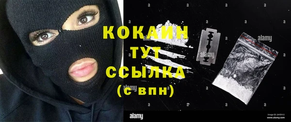 дживик Алексин