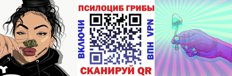 Галлюциногенные грибы Psilocybine cubensis  Георгиевск 
