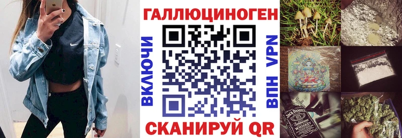 Псилоцибиновые грибы Psilocybe Георгиевск
