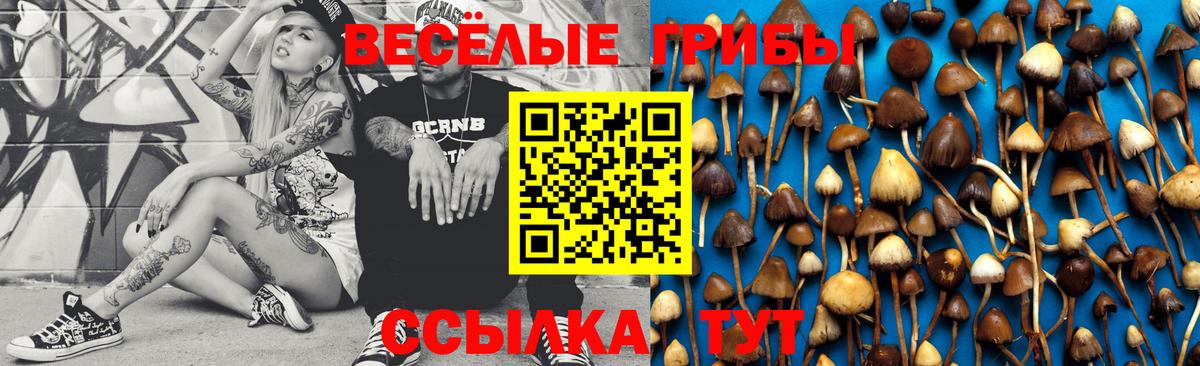 Георгиевск  Псилоцибиновые грибы GOLDEN TEACHER  где продают наркотики  Вход с VPN  Галлюциногенные грибы MAGIC MUSHROOMS 